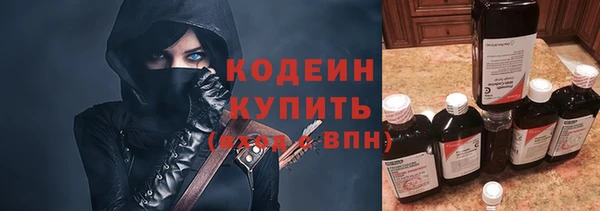 стафф Гвардейск