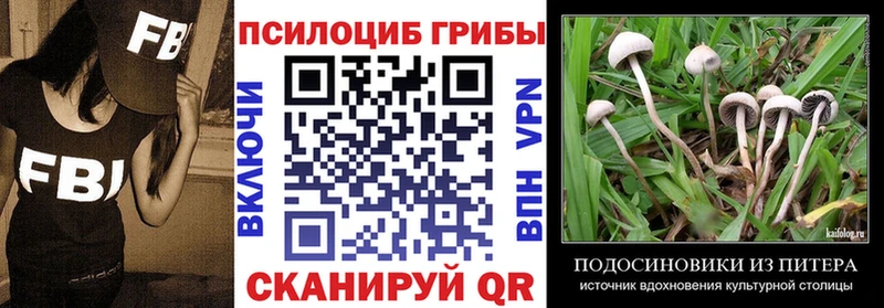 Псилоцибиновые грибы мицелий  Никольское 
